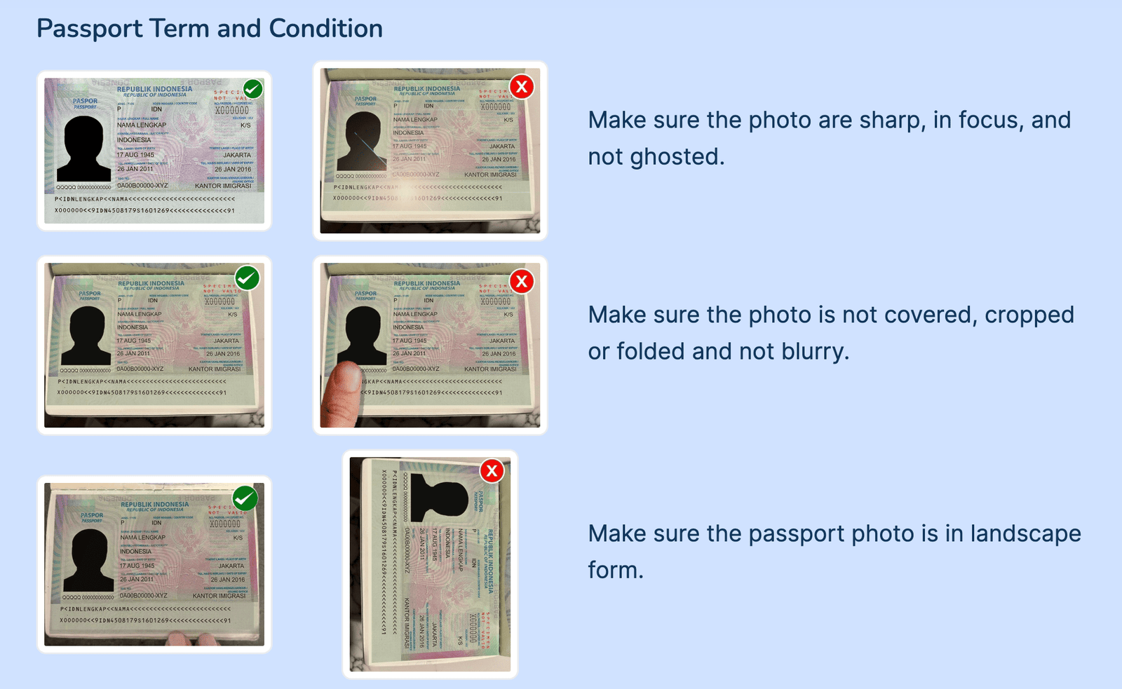 Passport Photo Requirements
